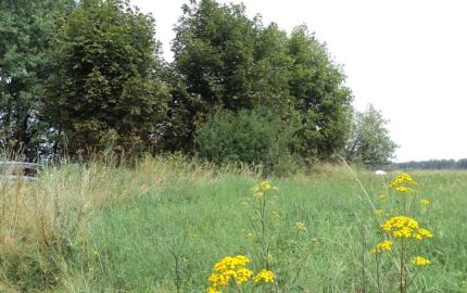 Stavebný pozemok v intraviláne obce Sklené