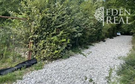 Chata v lesnom prostredí s krásnym výhľadom