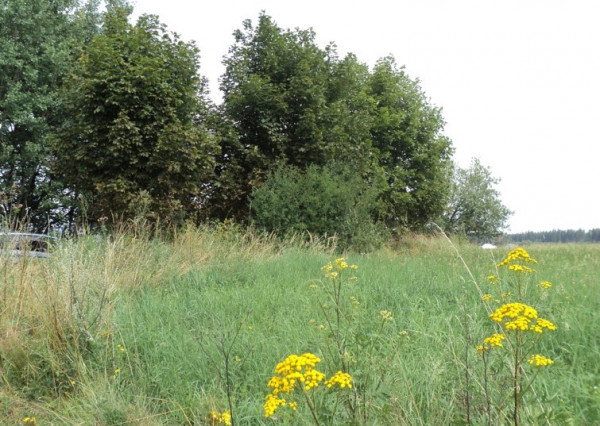 Stavebný pozemok v intraviláne obce Sklené