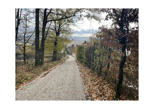 Chata v lesnom prostredí s krásnym výhľadom na pozemku 489m2