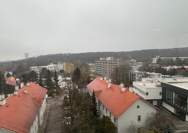 Administratívny blok - 6 kancelárií  v modernej budove