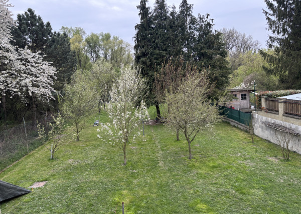 Pekný rodinný dom s veľkým pozemkom