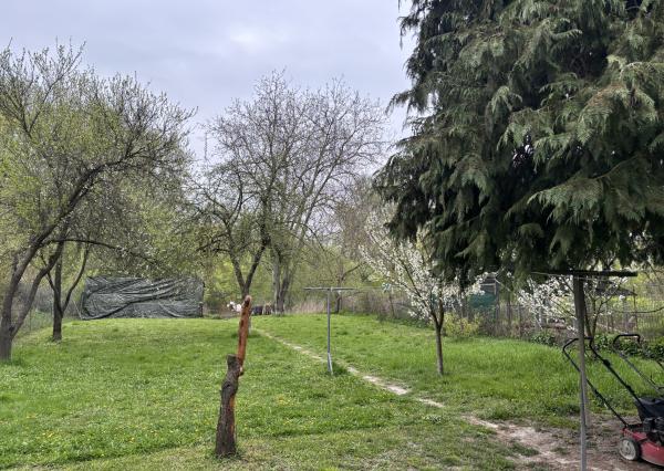 Pekný rodinný dom s veľkým pozemkom