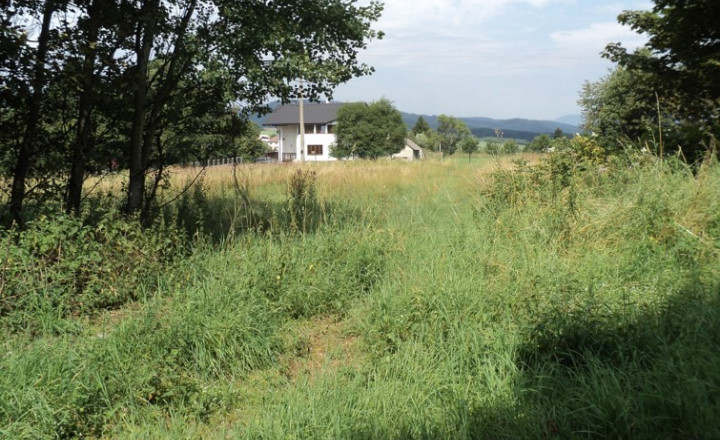 .Stavebný pozemok v intraviláne obce Sklené - fotografia 6