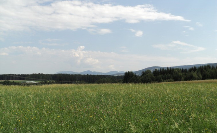 .Stavebný pozemok v intraviláne obce Sklené - fotografia 4